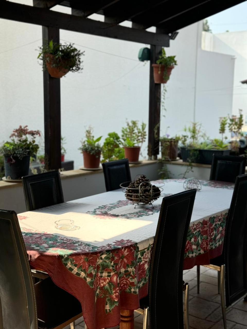 Town Centre Suites Larnaca Exteriér fotografie